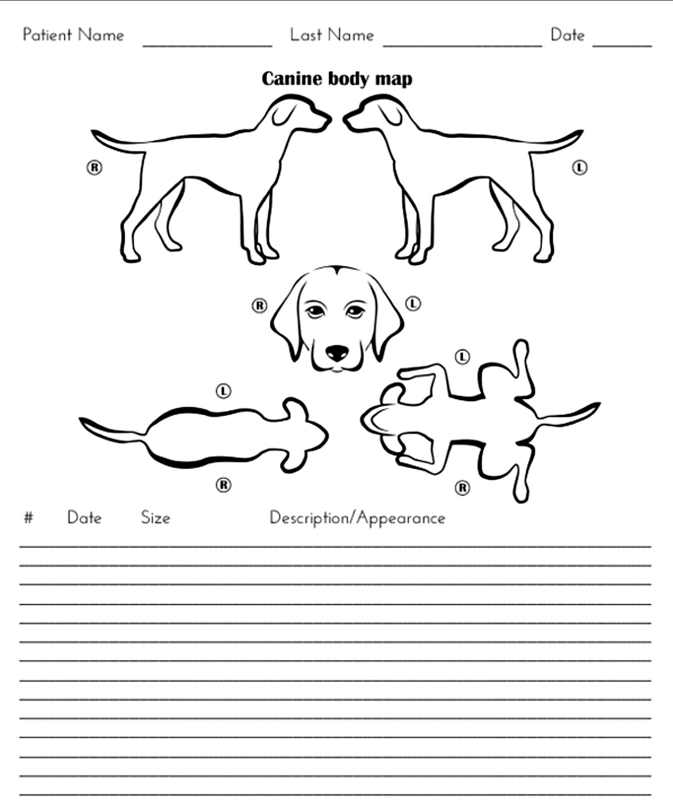 Dog Body Map Printable