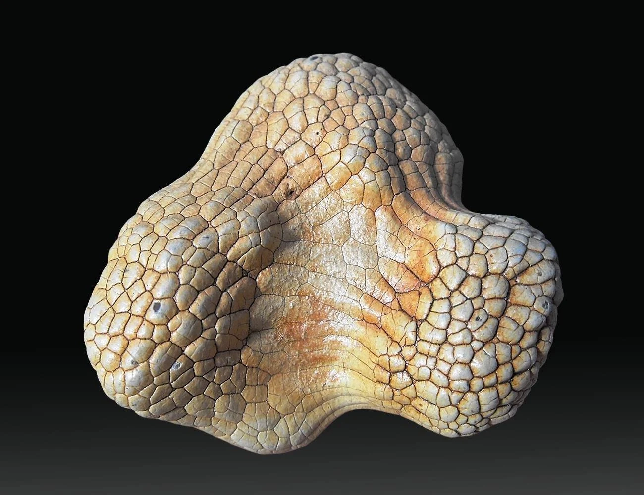 Printable Map For Snakeskin Agates